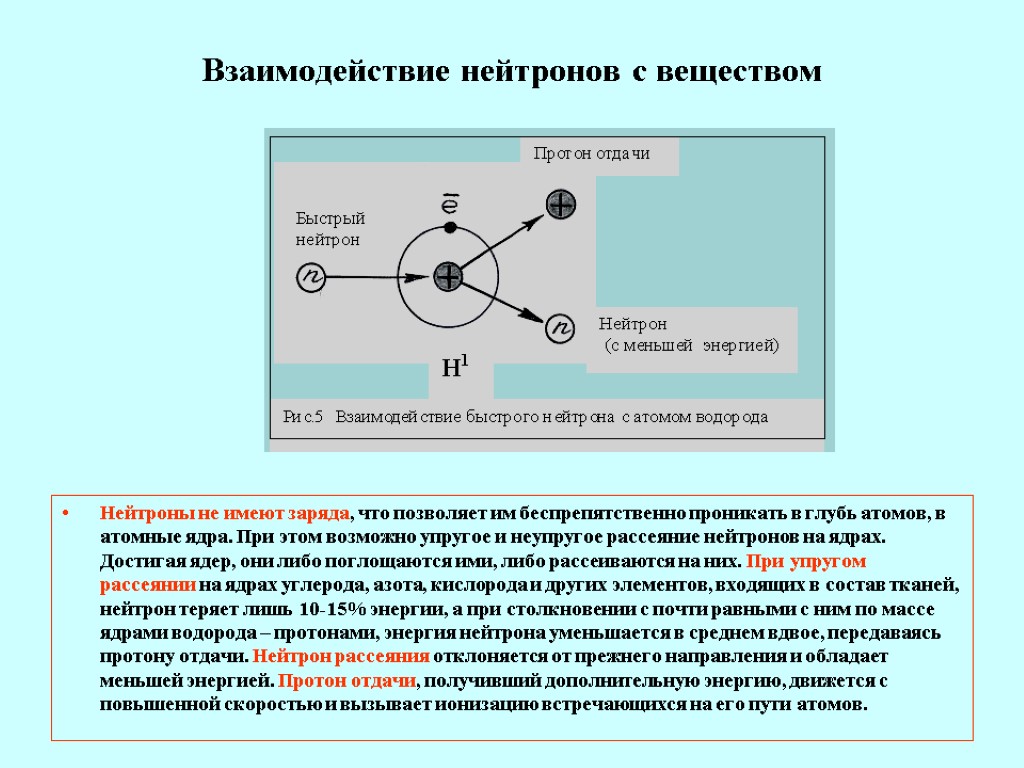 Взаимодействие нейтронов с веществом Нейтроны не имеют заряда, что позволяет им беспрепятственно проникать в